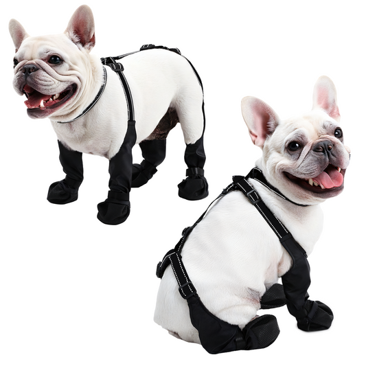 Waterproof Dog Boots - Adjustable Pet Shoes for Small/Medium Dogs, Soft Paws Protector, Black