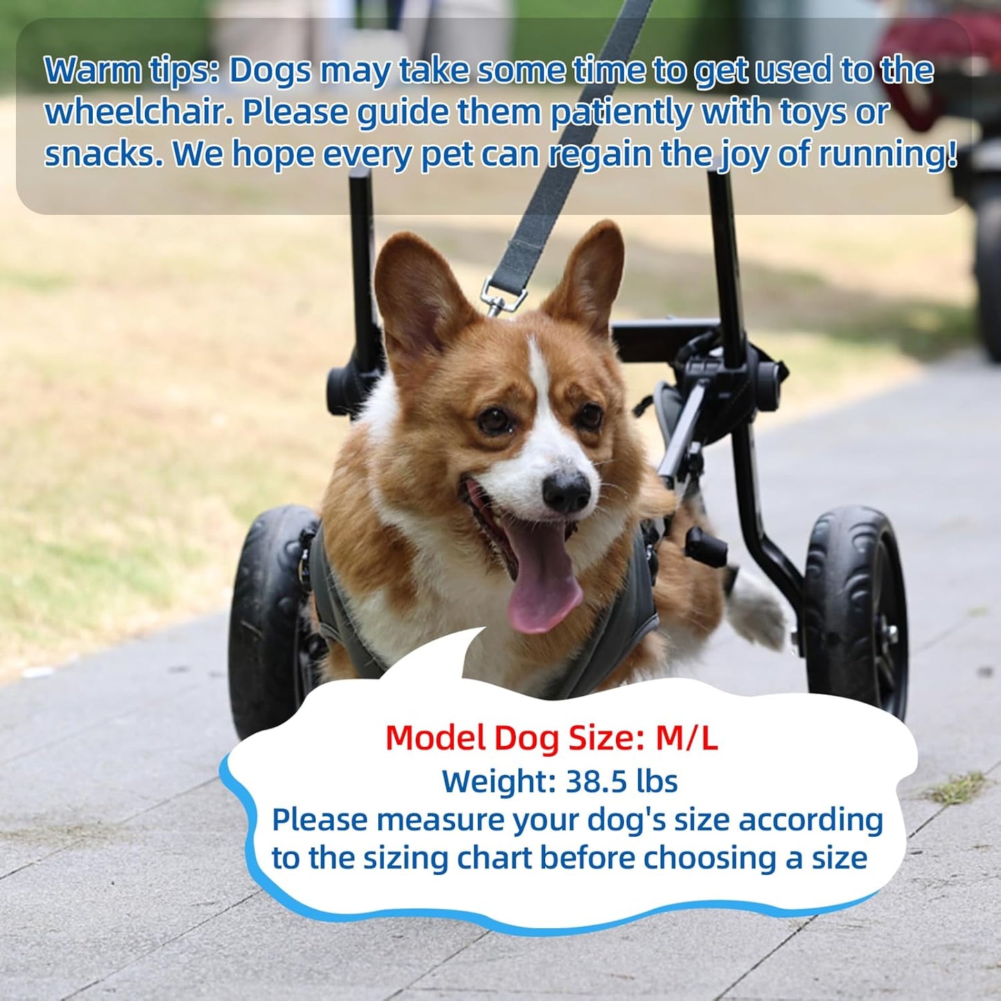 Dog Wheelchair for Back Legs, Light Weight Dog&Cat&Pets Wheelchair Cart with Disabled Hind Legs Walking, Adjustable Doggy Wheelchair Cart with Wheels for Back Legs Large Dog