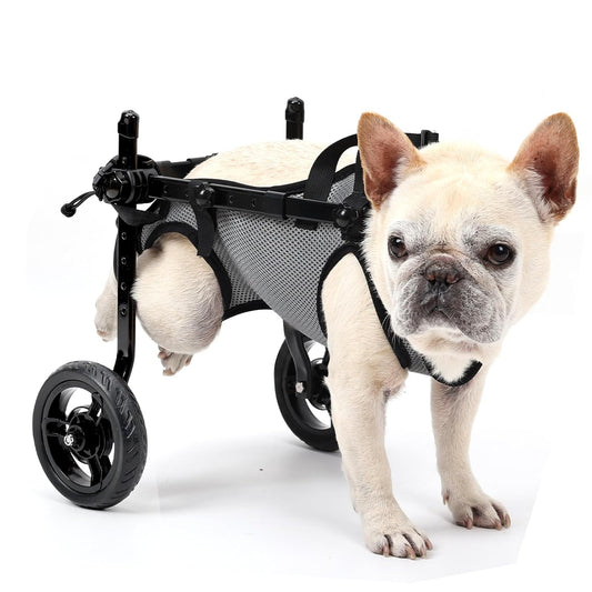 Dog Wheelchair for Back Legs, Light Weight Dog&Cat&Pets Wheelchair Cart with Disabled Hind Legs Walking, Adjustable Doggy Wheelchair Cart with Wheels for Back Legs small dog