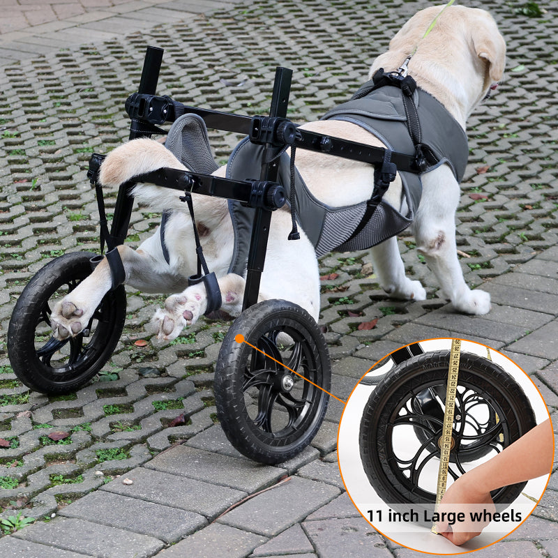 BECROWM Dog Wheelchair for Back Legs Large, Light Weight Dog&Cat&Pets Wheelchair- Cart with Disabled Hind Legs Walking, Adjustable Doggy Wheelchairs Cart with Wheels for Back Legs， (Gray, Large,XXL)